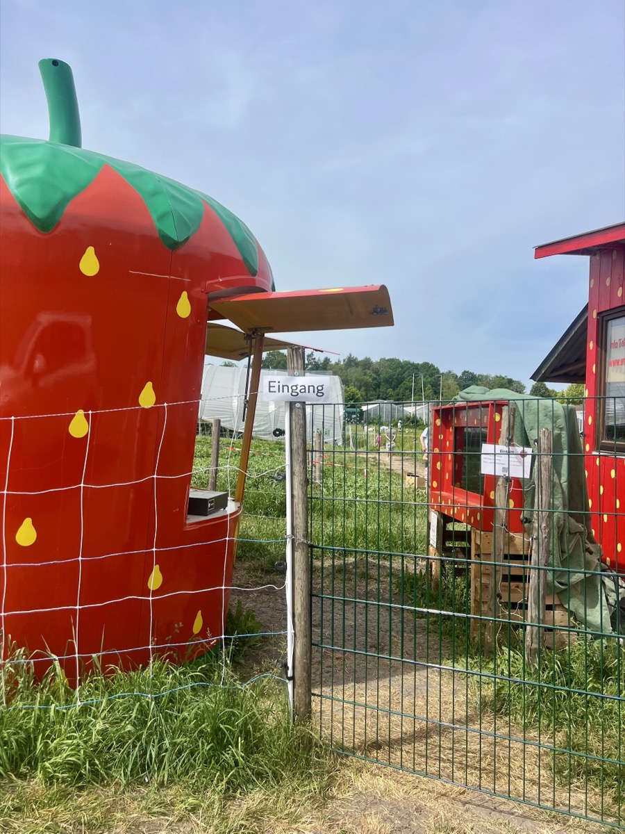 Der Eingang zum Erdbeer-Feld mit der grossen Erdbeere