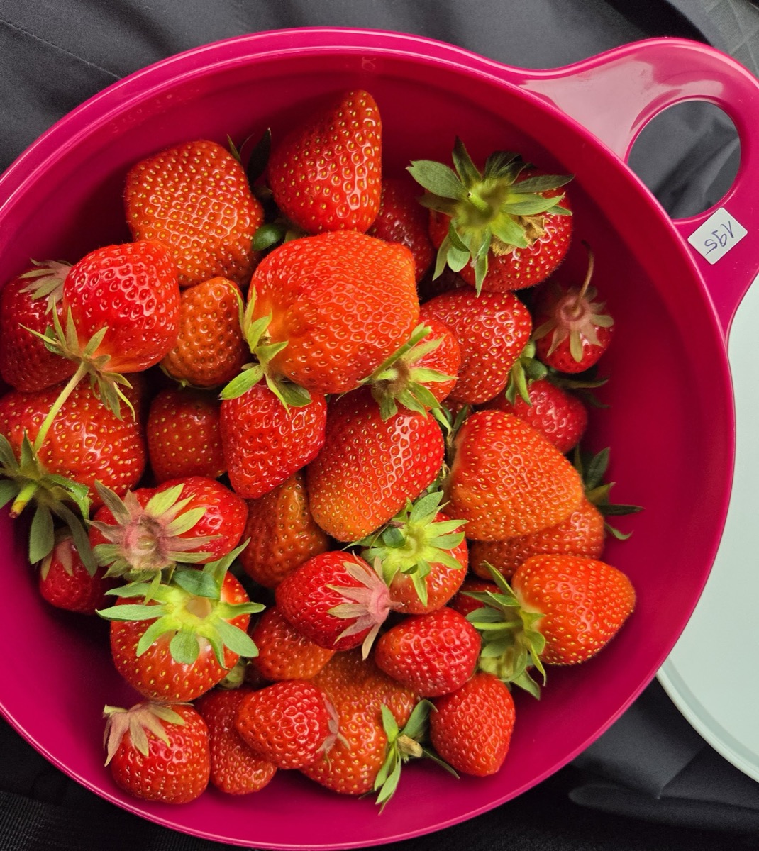 Erdbeeren in einer Schale